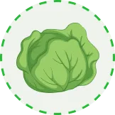 将自然的馈赠带到您的餐桌 - emc易倍官网app