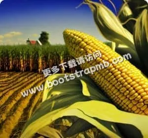 每一次点击都经算法校验 - emc易倍官网app